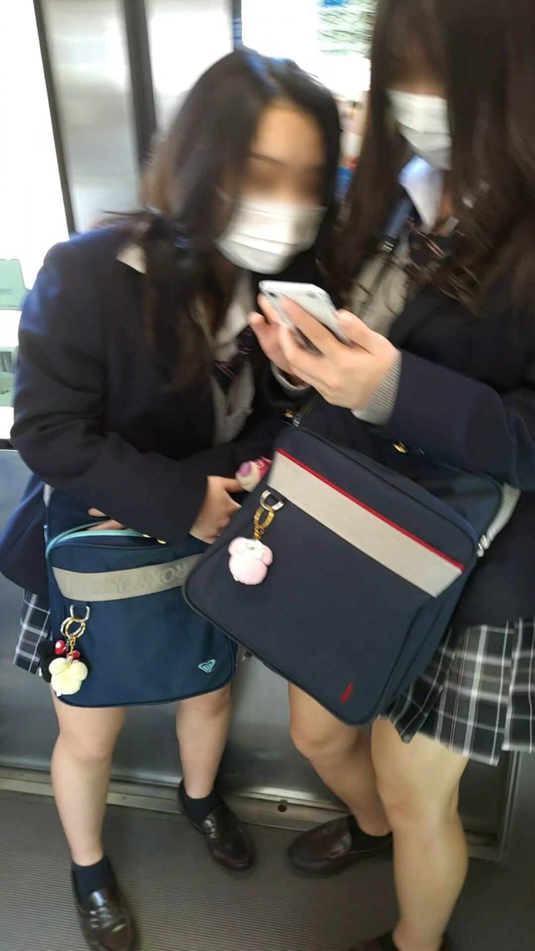 【画像】合法的に女子高生ちゃんとお近づきになれる電車という神シチュ