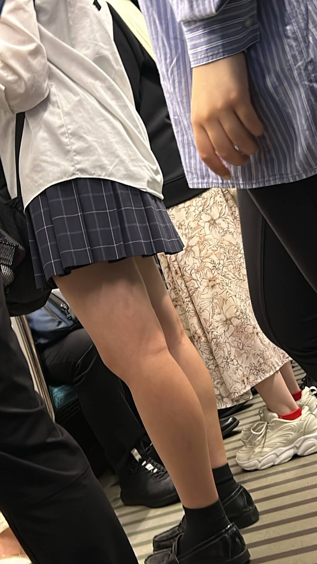 【画像】通学路で通勤してたら電車でこういう制服ＪＫと遭遇しほうだい？ｗｗ